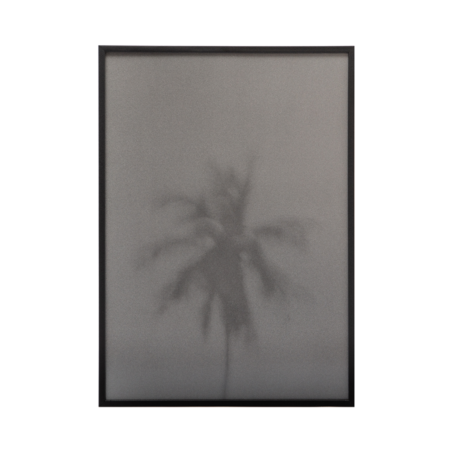 The Palm Tree Fine Art