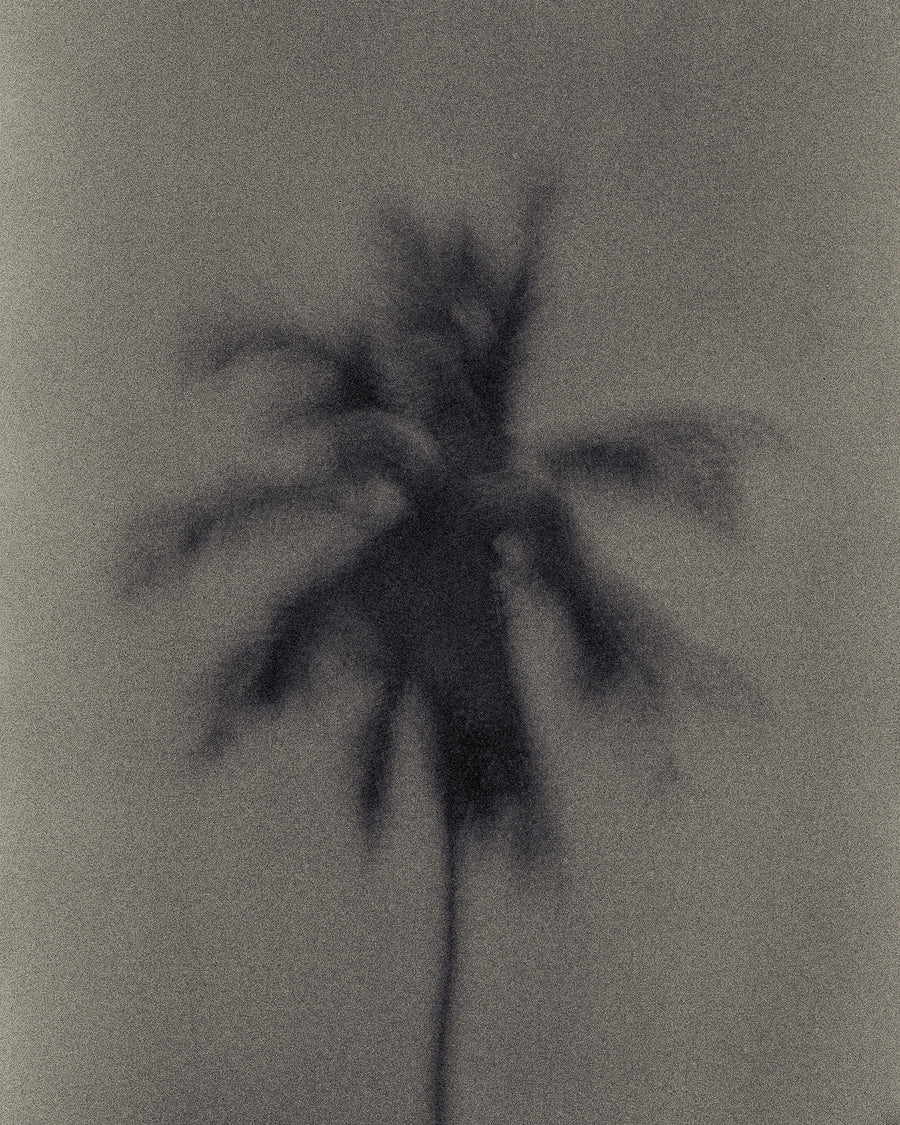 fINE-ART