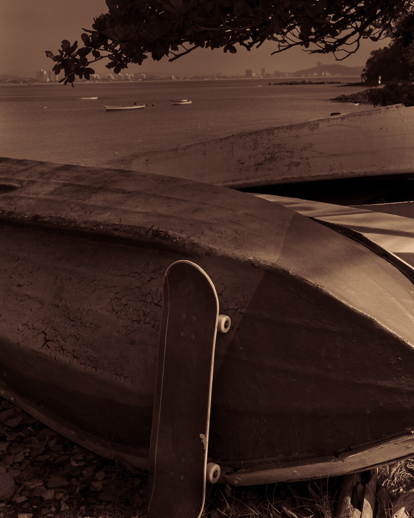 The Boat Fine Art