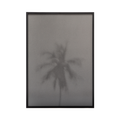The Palm Tree Fine Art