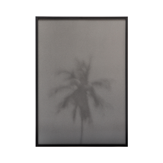 The Palm Tree Fine Art